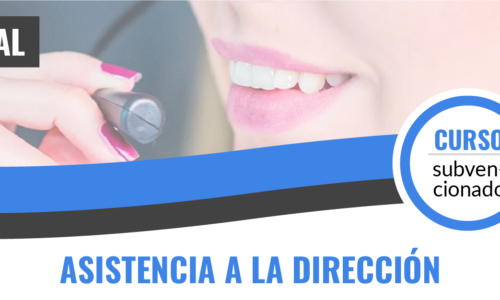 ASISTENCIA A LA DIRECCIÓN