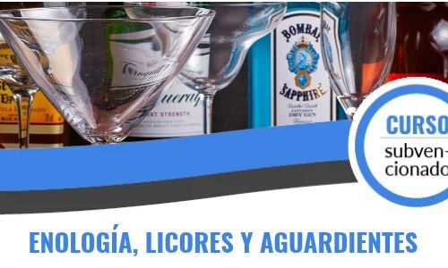 miniatura del curso